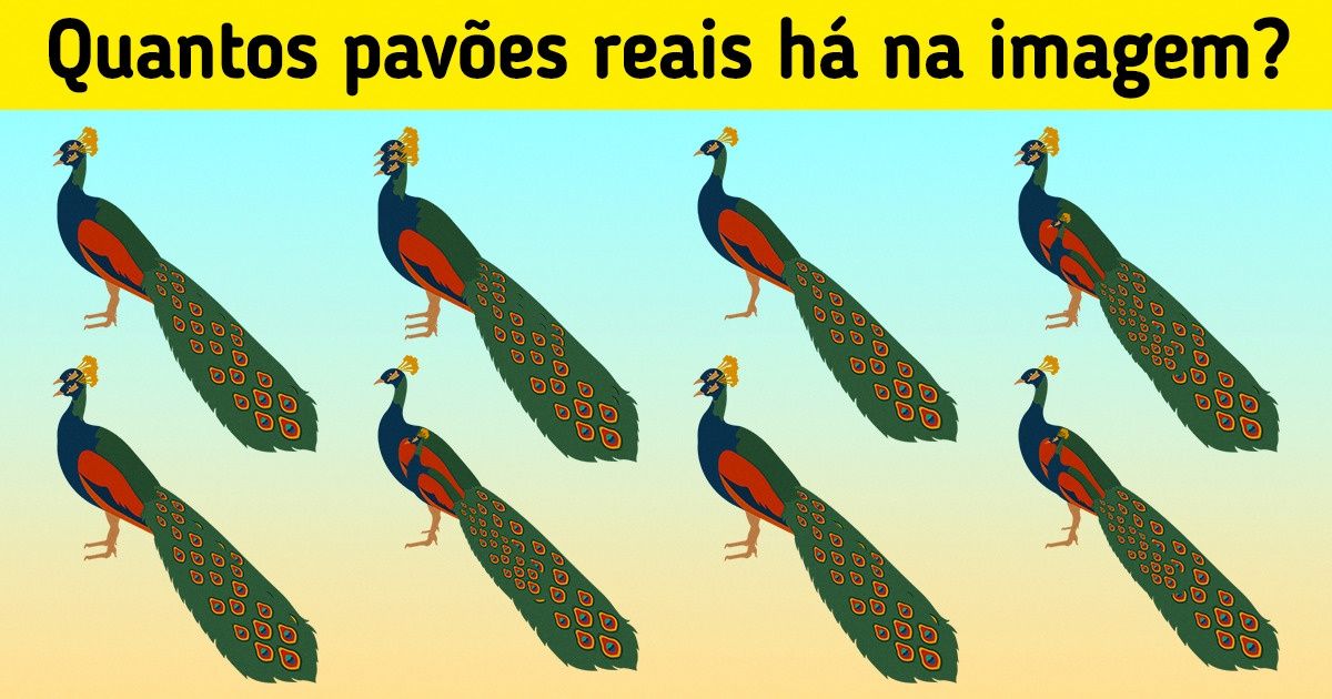 20 Animais da floresta ocultos entre si que vão testar sua capacidade de observação