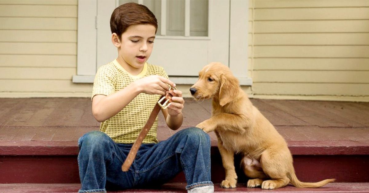 Crianças que crescem com animais de estimação são mais sensíveis e têm menos stress (é o que mostra uma pesquisa)