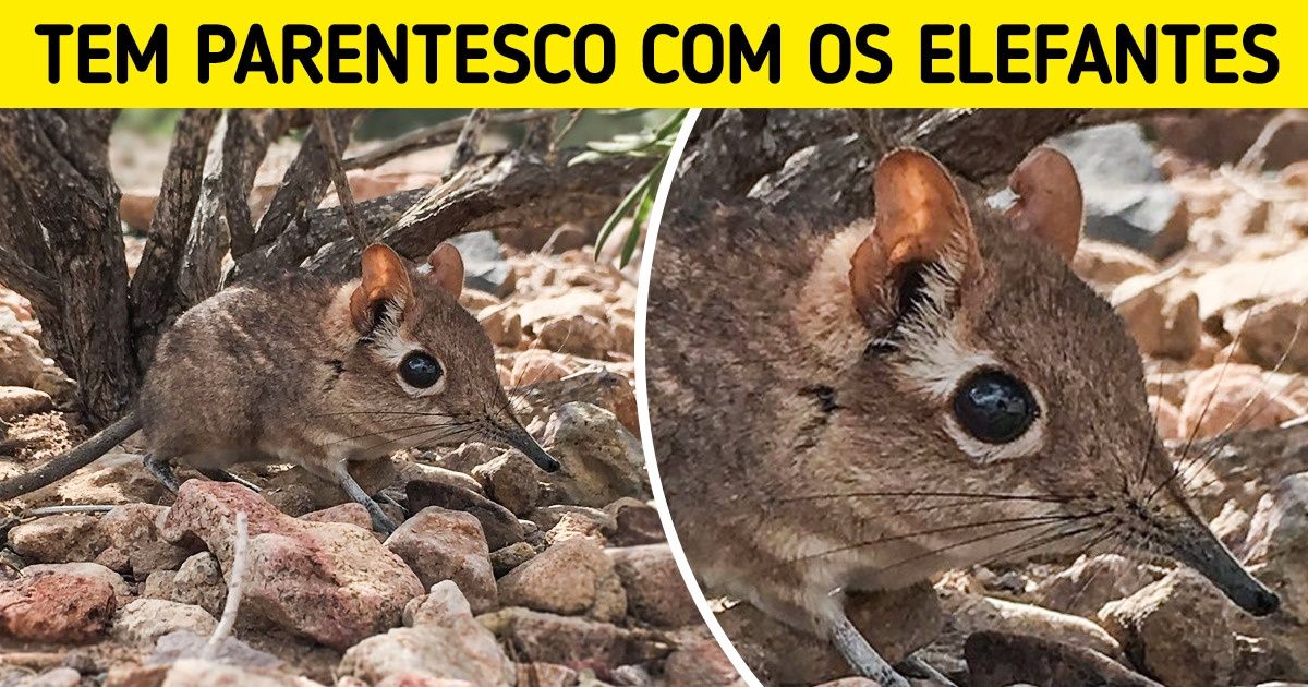 9 Descobertas e fatos científicos (alguns podem ajudar o Ambiente e outros nos permitir sair do Planeta) 9 Descobertas e fatos científicos (alguns podem ajudar o Ambiente e outros nos permitir sair do Planeta)