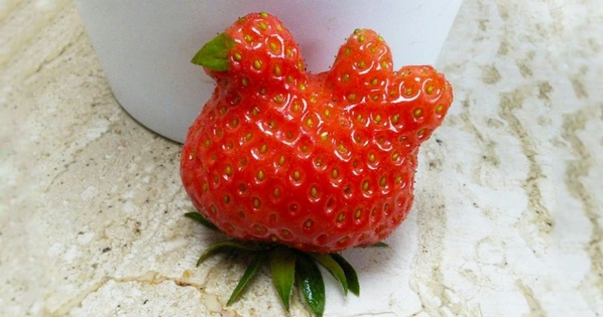 20 frutas e legumes que parecem outra coisa