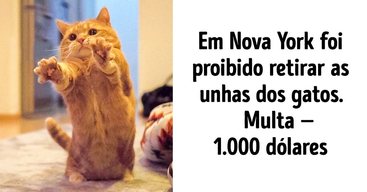 14 notícias que provam que a humanidade ainda tem chance de dar certo 14 notícias que provam que a humanidade ainda tem chance de dar certo