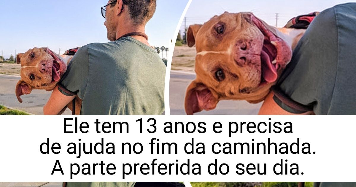 15 Pessoas que amam incondicionalmente seus animais de estimação 15 Pessoas que amam incondicionalmente seus animais de estimação