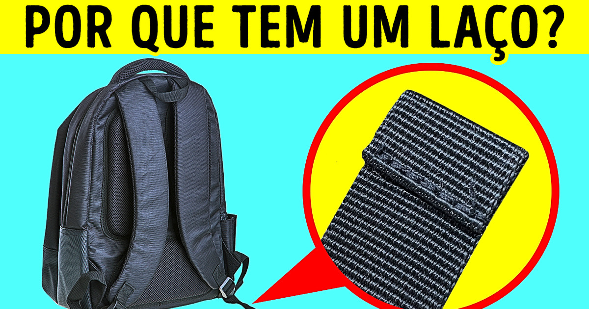 Nunca fique sem assunto: 15 fatos divertidos e peculiares