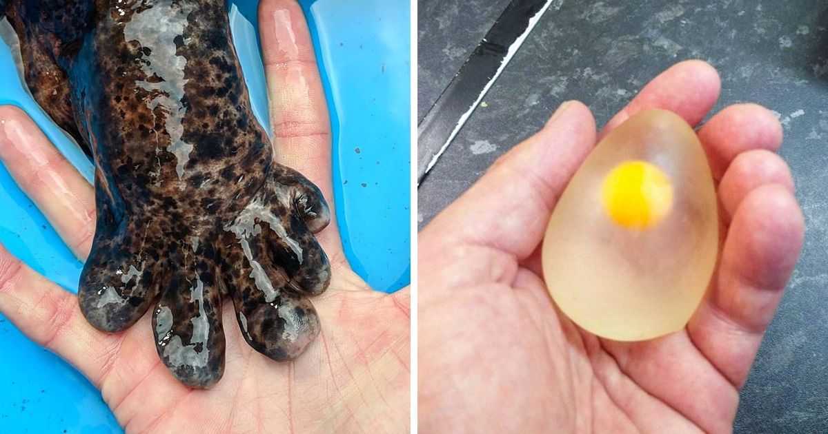 20+ Fotos que vão abrir seus horizontes em apenas 5 minutos