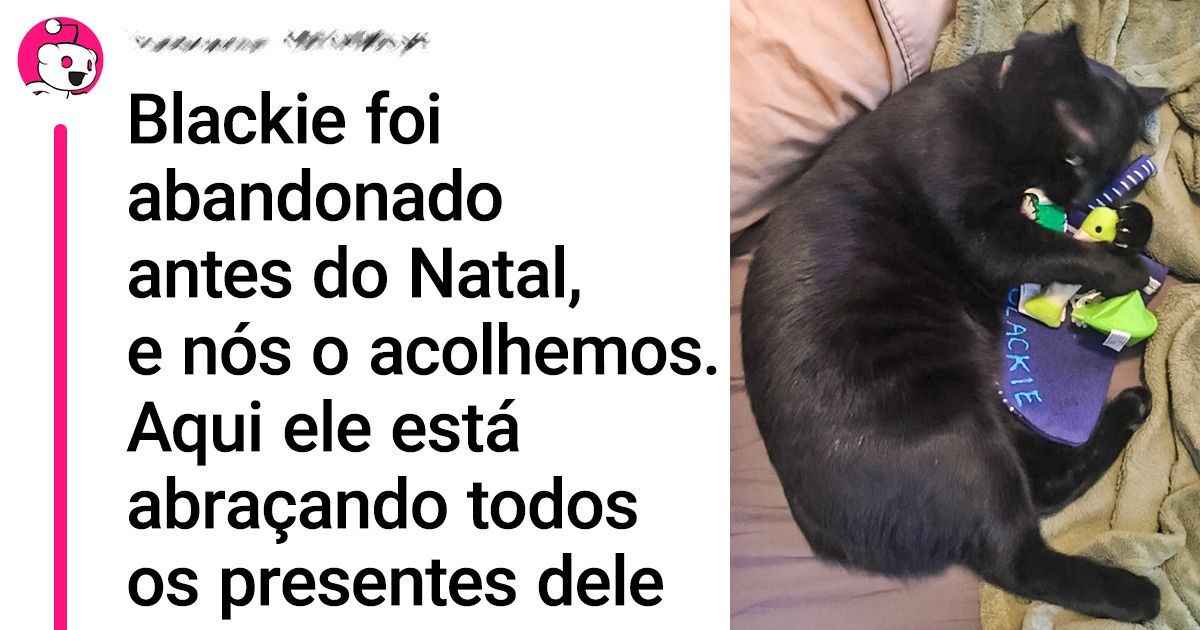 21 Provas de que os gatos pretos, mesmo com o pelo escuro, conseguem iluminar o nosso dia