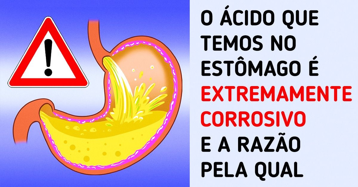12 Dados sobre o sistema digestivo que nos fazem perceber o quão pouco sabemos do nosso corpo 12 Dados sobre o sistema digestivo que nos fazem perceber o quão pouco sabemos do nosso corpo