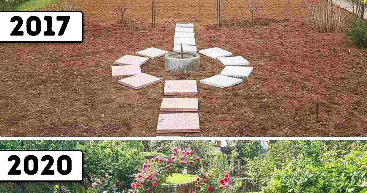 20 Pessoas que ficaram tão orgulhosas dos seus jardins que decidiram compartilhar suas fotos com o mundo