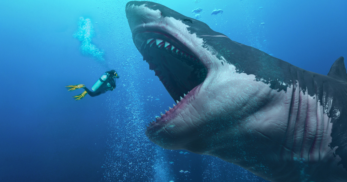 Encontraram um Megalodonte vivo na Fossa das Marianas?