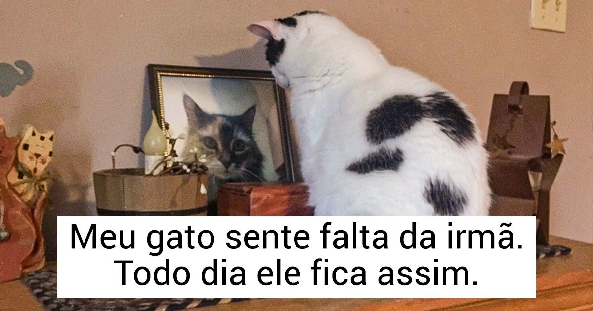 25 Fotos sobre emocionantes histórias de amor e de superação