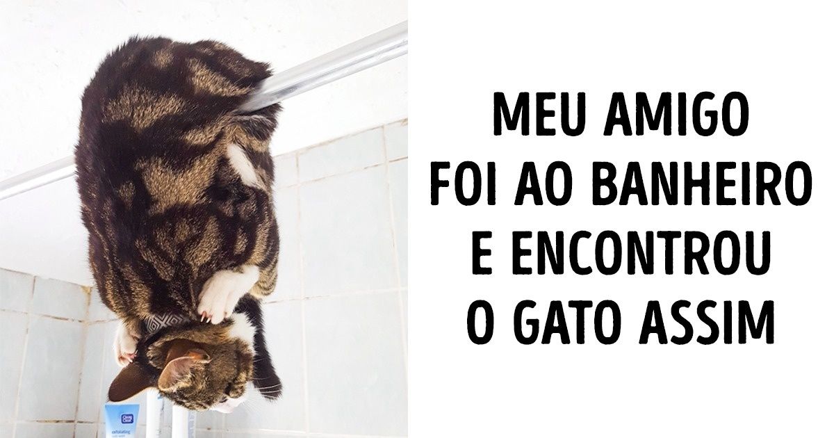 17 Animais que se negam a ter bons modos