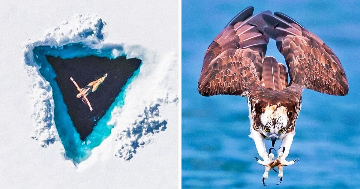 20+ Fotos impecáveis ​​que podem ser vistas como obra de arte