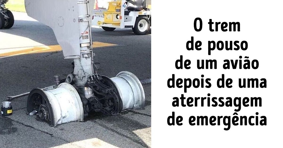 15 Fotos que podem deixar qualquer pessoa levemente paralisada