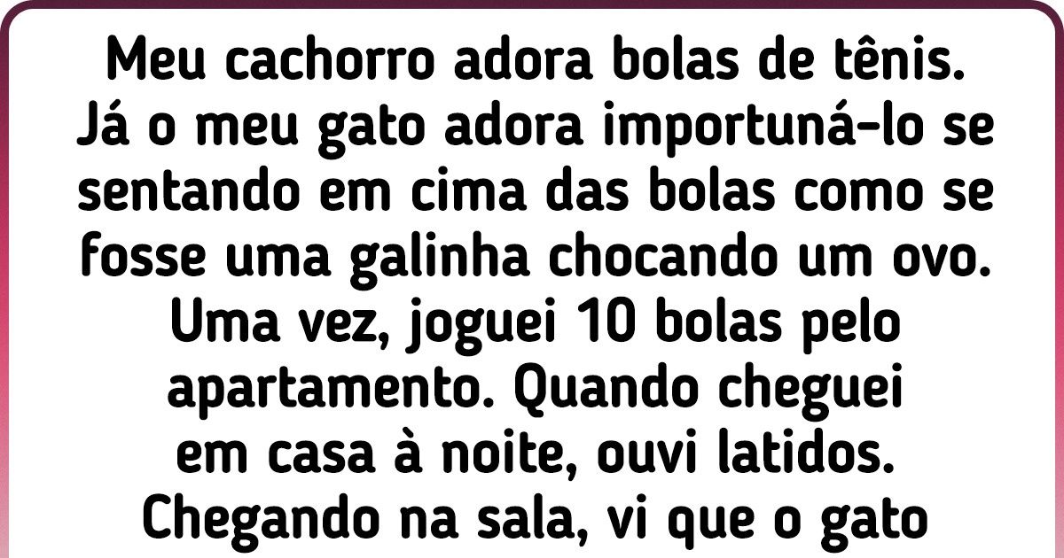 15+ Relatos de internautas sobre o intelecto impressionante dos seus bichinhos de estimação