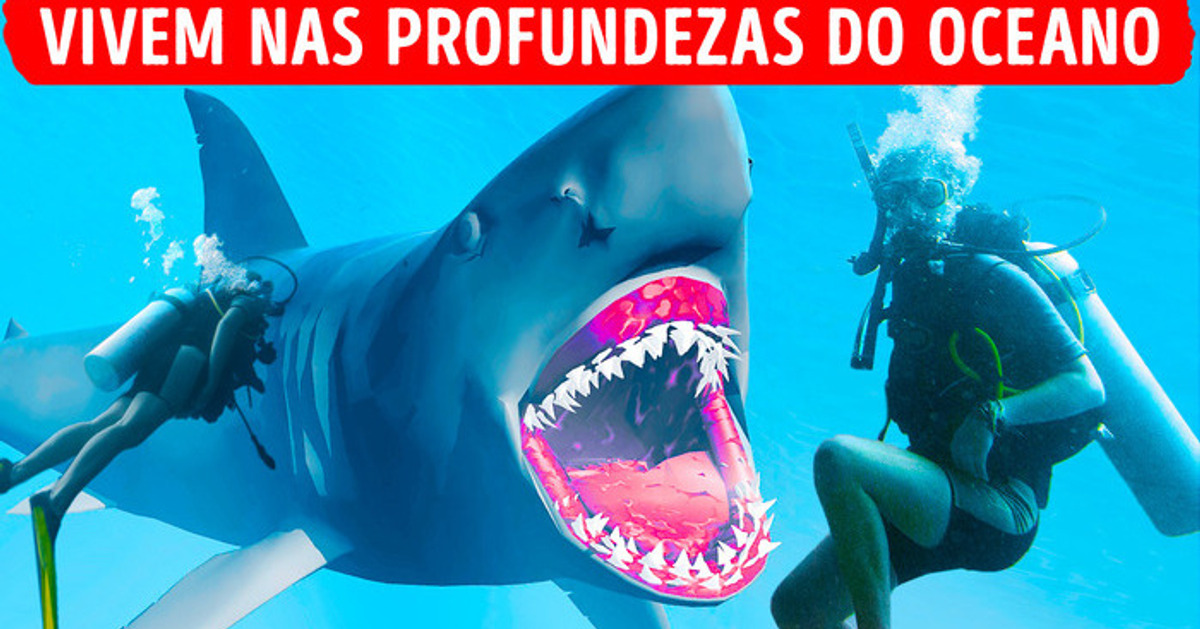 8 Tubarões do mar profundo que vão gelar a sua espinha