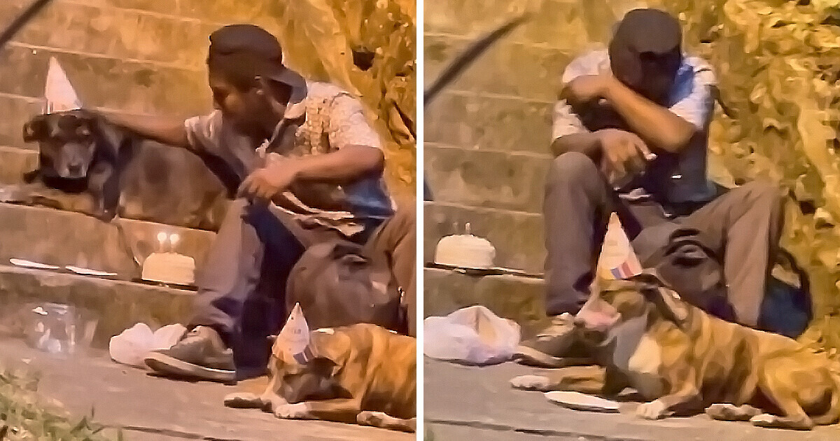 A generosidade com os cães tocou corações, e a vida lhe deu um lar de volta