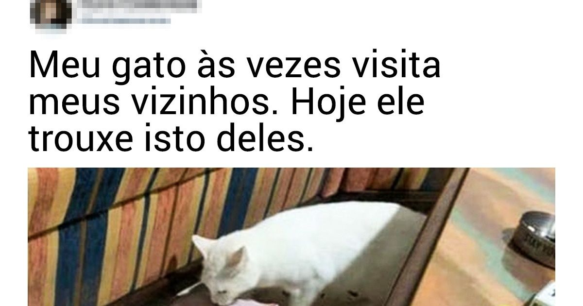 20+ Gatinhos sem vergonha e folgados