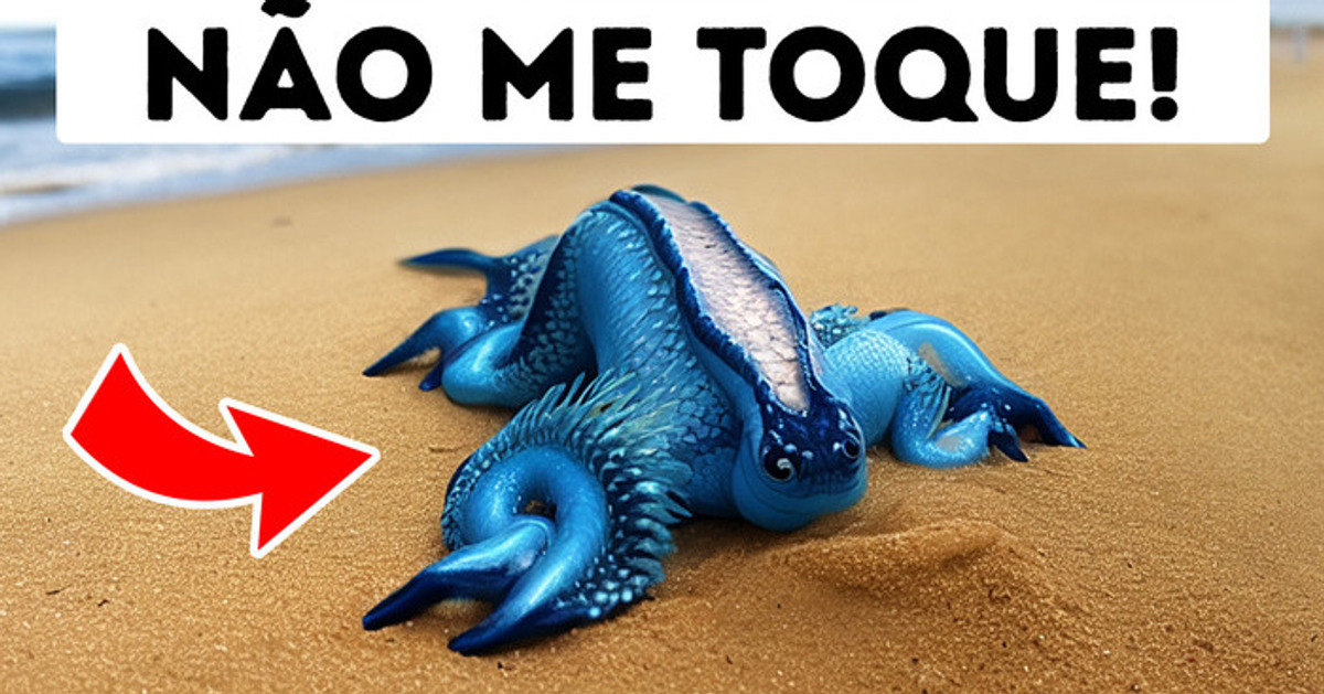 Se Vir Esta Criatura na Praia, Mantenha Distância