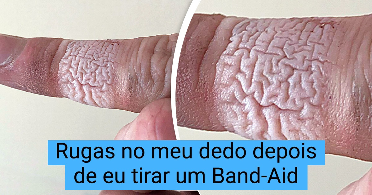 16 Fotos de coisas comuns vistas de ângulos curiosos 16 Fotos de coisas comuns vistas de ângulos curiosos