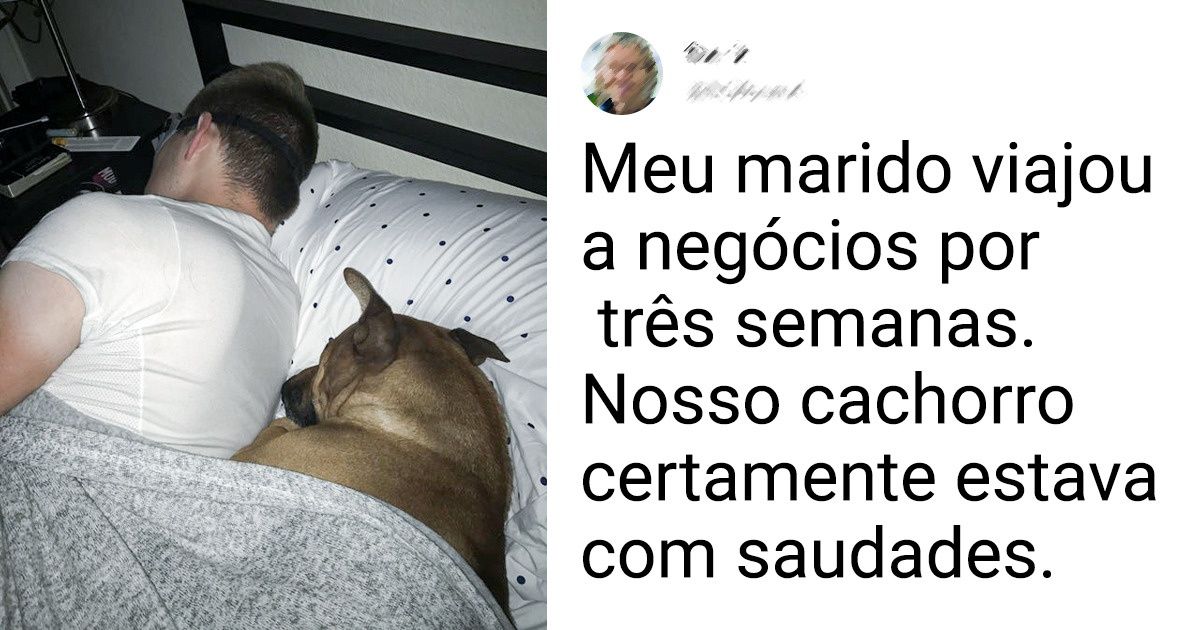 17 Pessoas que encontraram uma linguagem em comum com seus pets