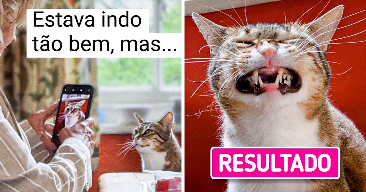 15 Fotos que provam que nem todo animal de estimação é flor que se cheire