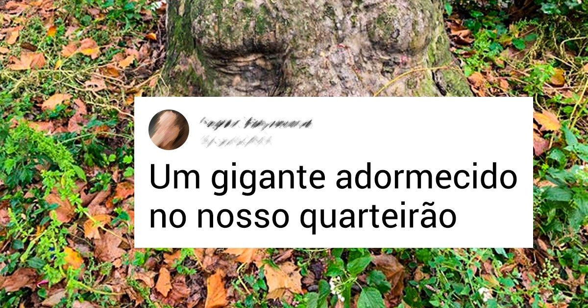 20 Provas de que a natureza pode assumir a forma que ela quiser 20 Provas de que a natureza pode assumir a forma que ela quiser