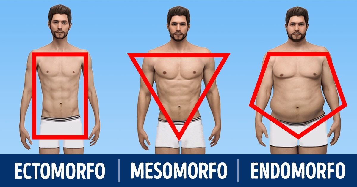 3 Tipos físicos e como ganhar músculos mais rapidamente em cada caso 3 Tipos físicos e como ganhar músculos mais rapidamente em cada caso