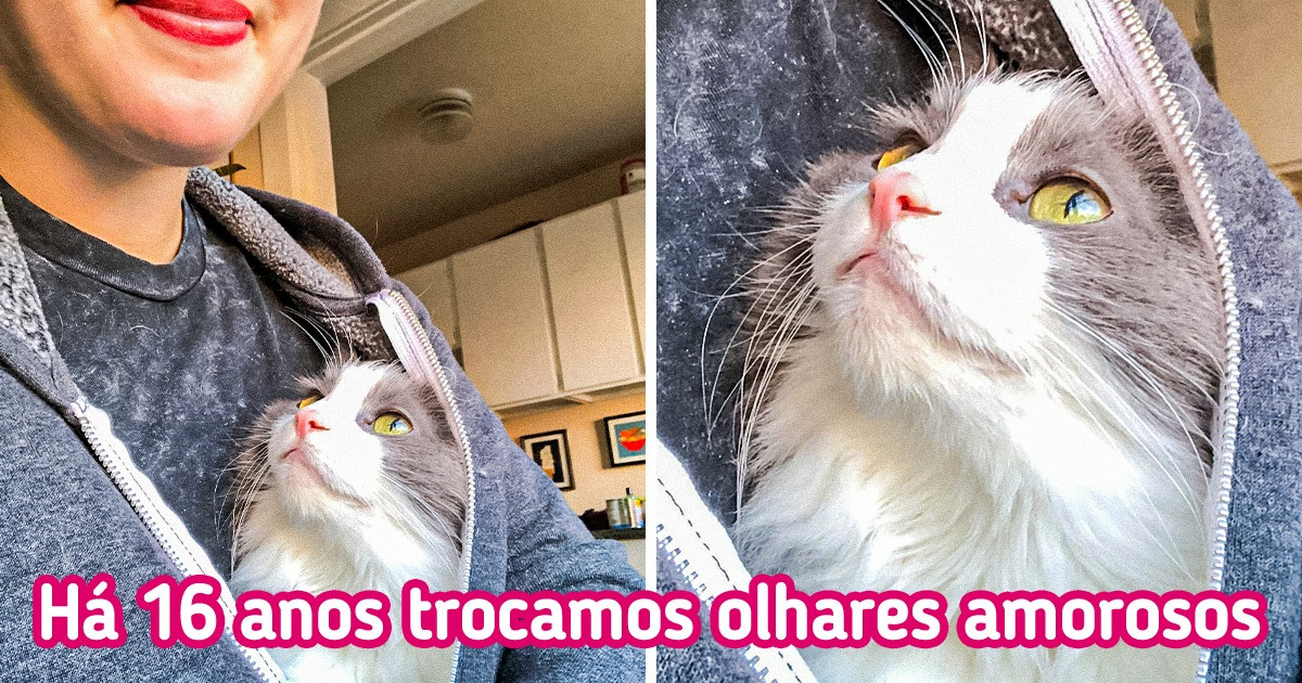 19 Imagens que traduzem o que é o amor em sua forma mais genuína 19 Imagens que traduzem o que é o amor em sua forma mais genuína