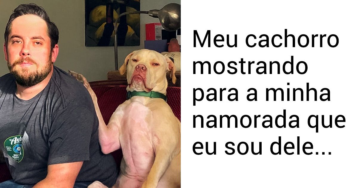 20 Fotos provando que os animais de estimação também podem sentir ciúmes dos seus donos 20 Fotos provando que os animais de estimação também podem sentir ciúmes dos seus donos