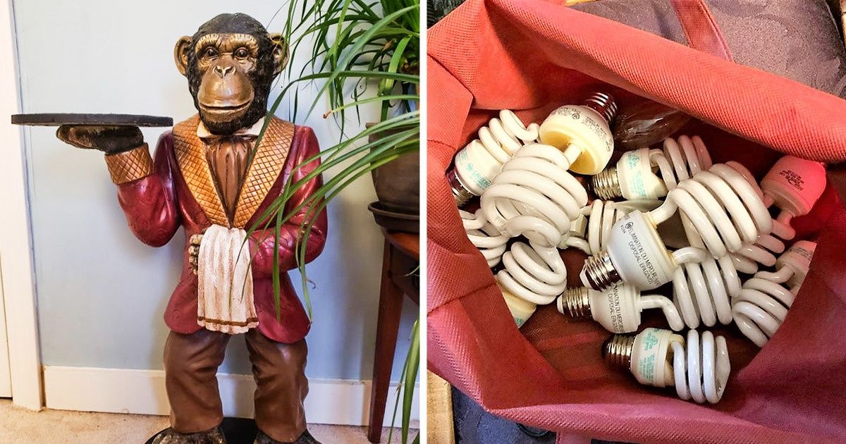 21 Vezes em que pessoas encontraram verdadeiros tesouros na lata de lixo 21 Vezes em que pessoas encontraram verdadeiros tesouros na lata de lixo