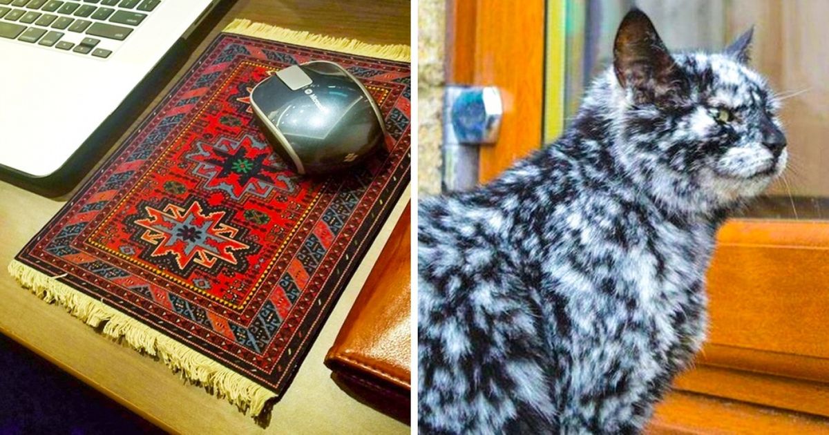 26 Fotos que vão mudar seu ponto de vista sobre o cotidiano