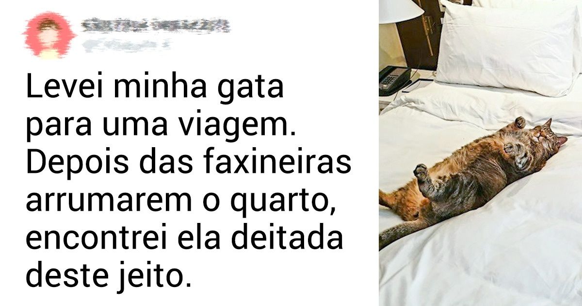 20+ Casos provando que são os gatos que dominam os seres humanos (e não o contrário) 20+ Casos provando que são os gatos que dominam os seres humanos (e não o contrário)