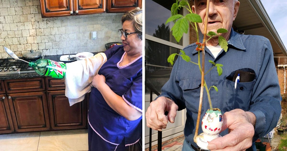 17 Avós que sabem encontrar a solução perfeita para vários problemas da vida