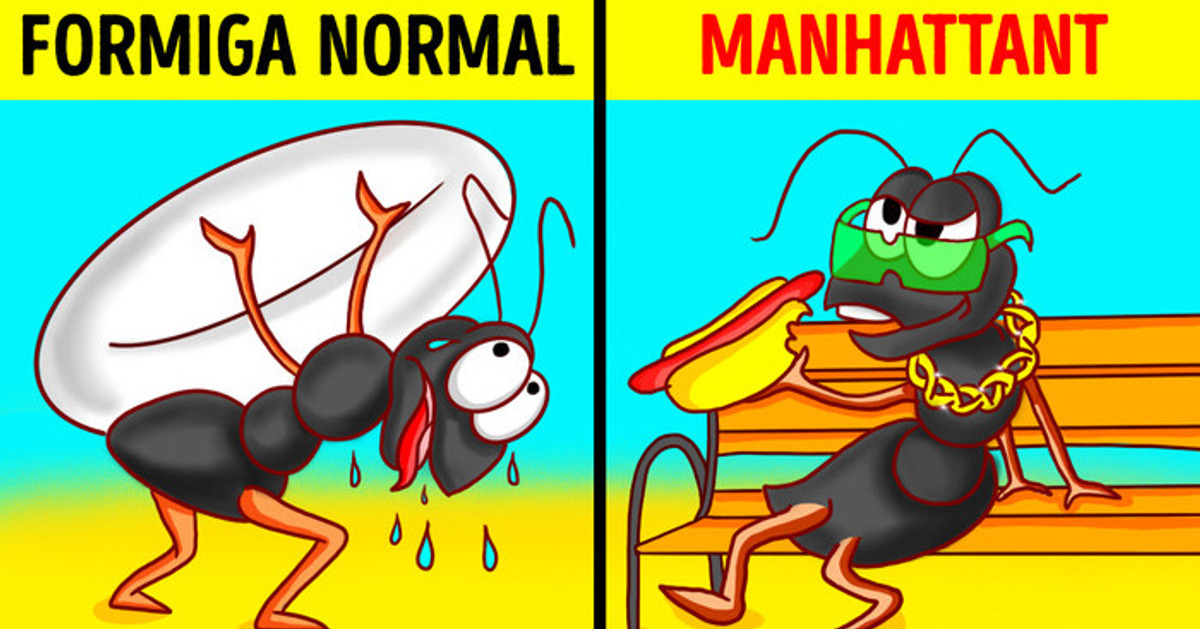 Insetos de Nova York que você não encontrará em nenhum outro lugar do mundo Insetos de Nova York que você não encontrará em nenhum outro lugar do mundo