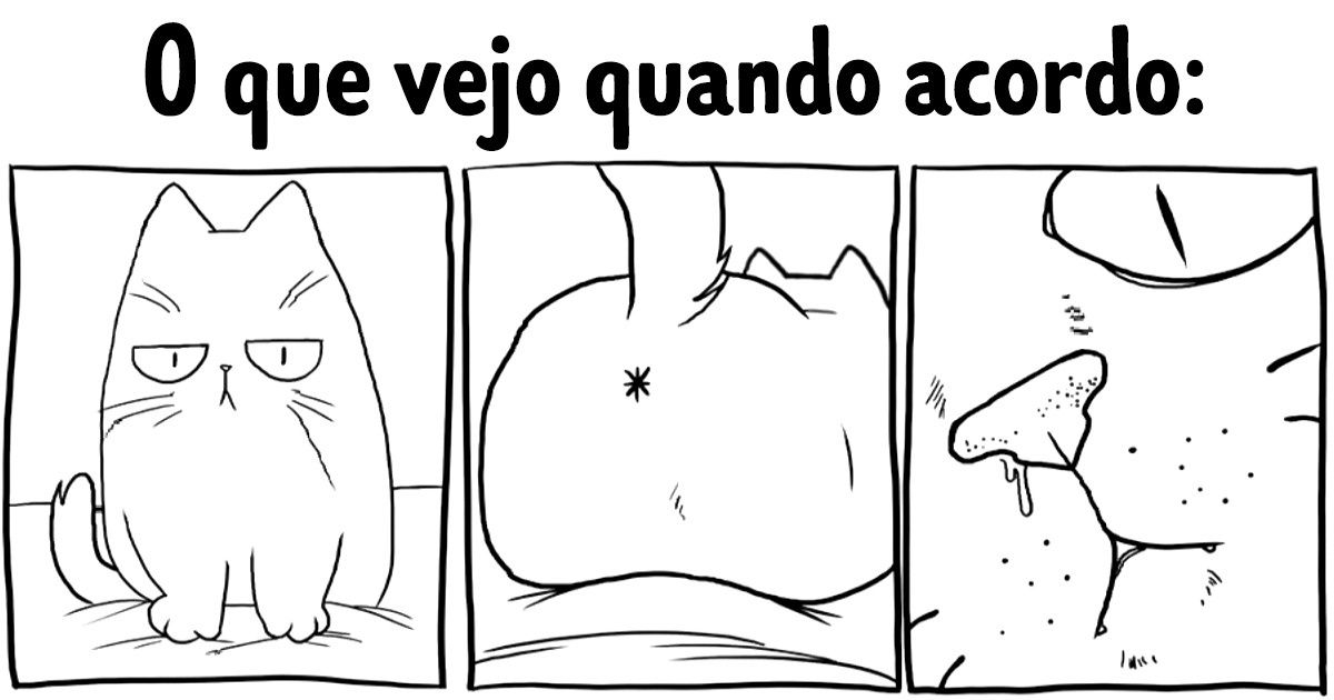 18 Quadrinhos divertidos que só quem tem gato irá entender