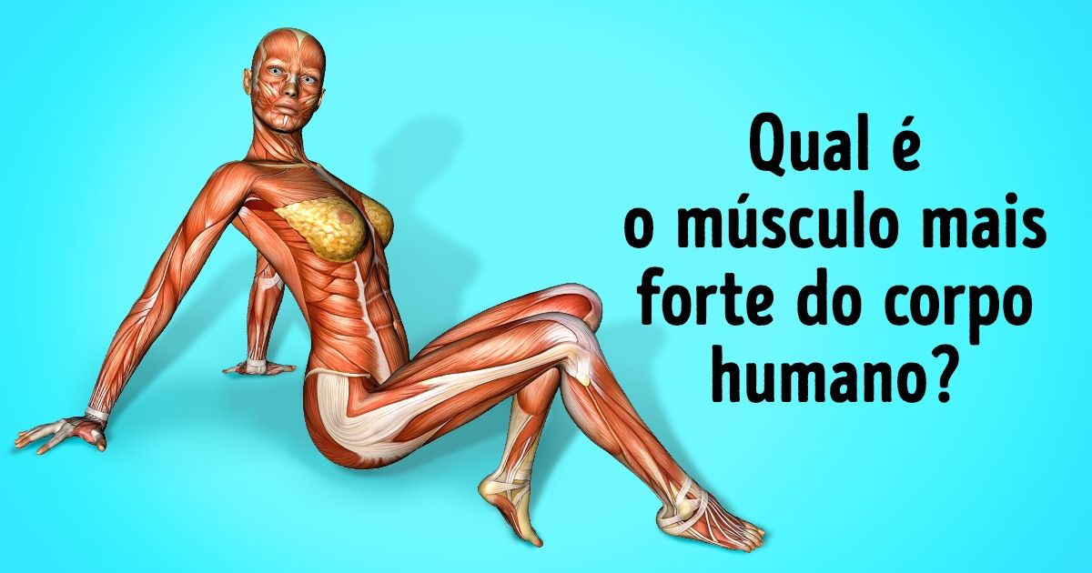 Os alunos em idade escolar podem responder a essas 16 perguntas. E você, consegue?