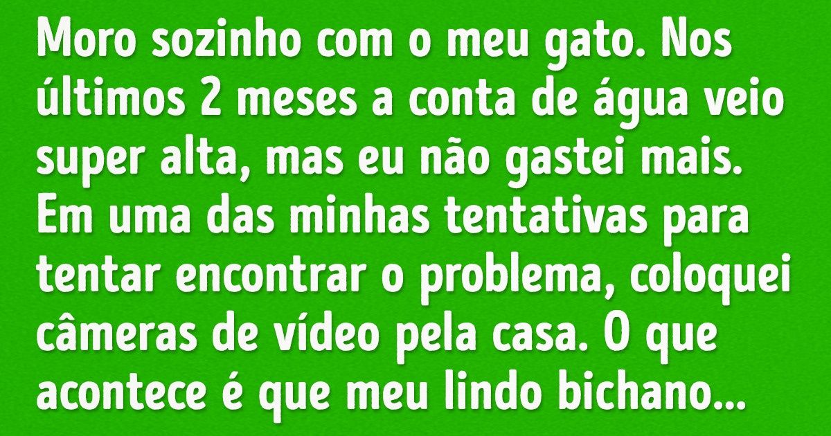 13 Histórias que mostram como a vida ao lado de um gato é uma verdadeira festa... para o gato