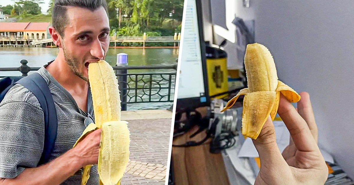 11 Coisas tão grandes que nos sentimos como formigas e outras 11 tão pequenas que quase precisamos de lupa