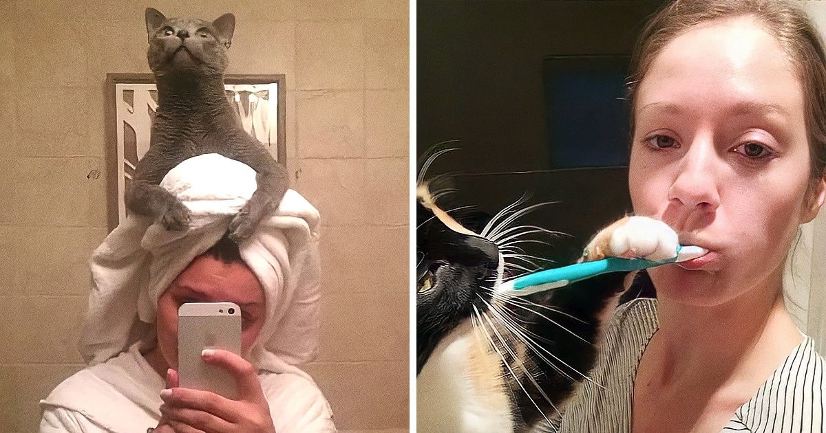 20+ Animais de estimação tão travessos que não deixam os donos saberem o que é tédio 20+ Animais de estimação tão travessos que não deixam os donos saberem o que é tédio