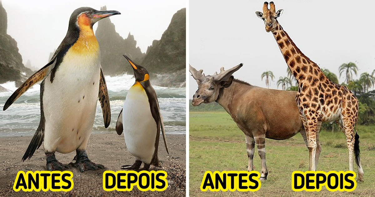 15 Comparações físicas de animais extintos com seus parentes atuais 15 Comparações físicas de animais extintos com seus parentes atuais