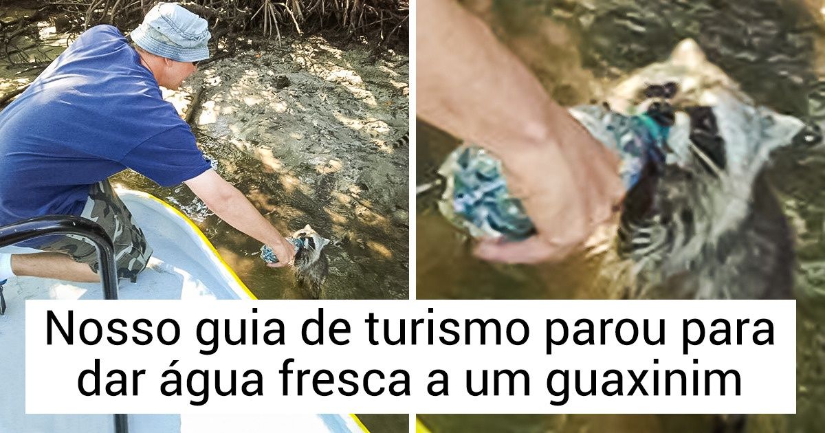 15 Pessoas que amam tanto seu trabalho que o fazem com todo o coração