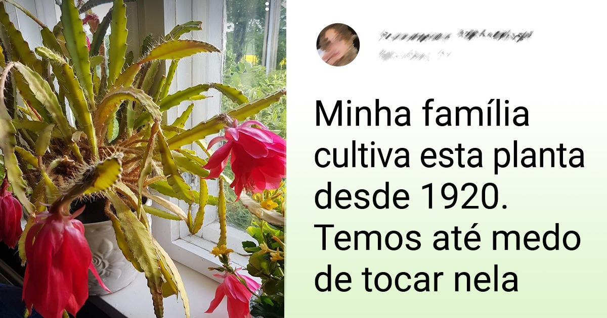 15+ Pessoas capazes de cultivar qualquer tipo de planta