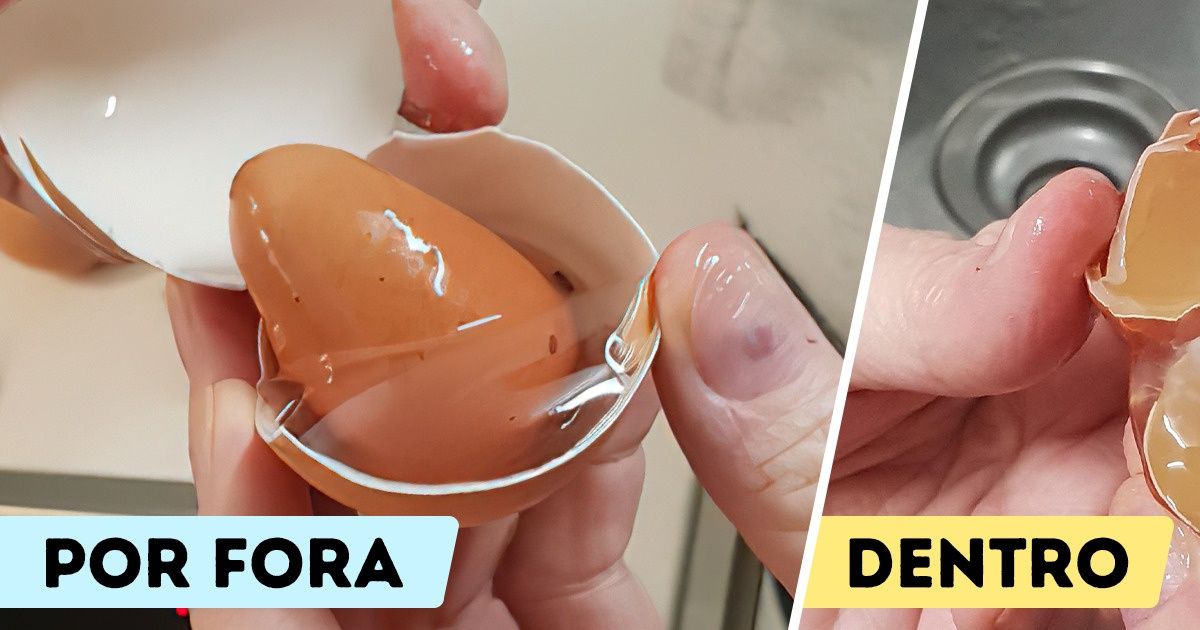 20 Pessoas que presenciaram algo inusitado e rapidamente tiraram uma foto 20 Pessoas que presenciaram algo inusitado e rapidamente tiraram uma foto