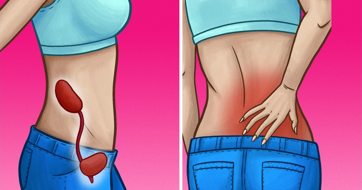 10 Sinais de que seus rins não estão funcionando como deveriam 10 Sinais de que seus rins não estão funcionando como deveriam