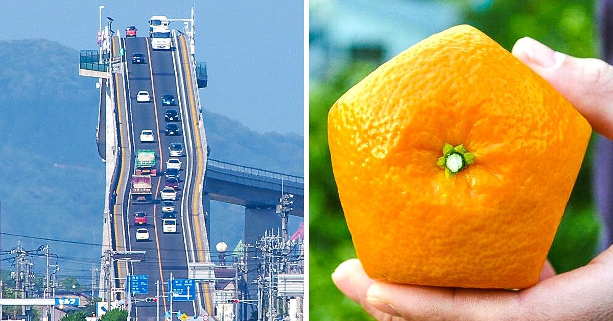 15 Imagens que mostram que o Japão está 100 anos à frente no futuro