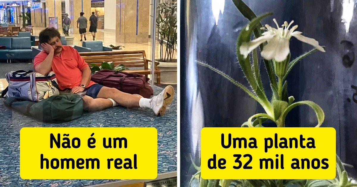 15 Coisas que não sabíamos que existiam e das quais agora não podemos esquecer