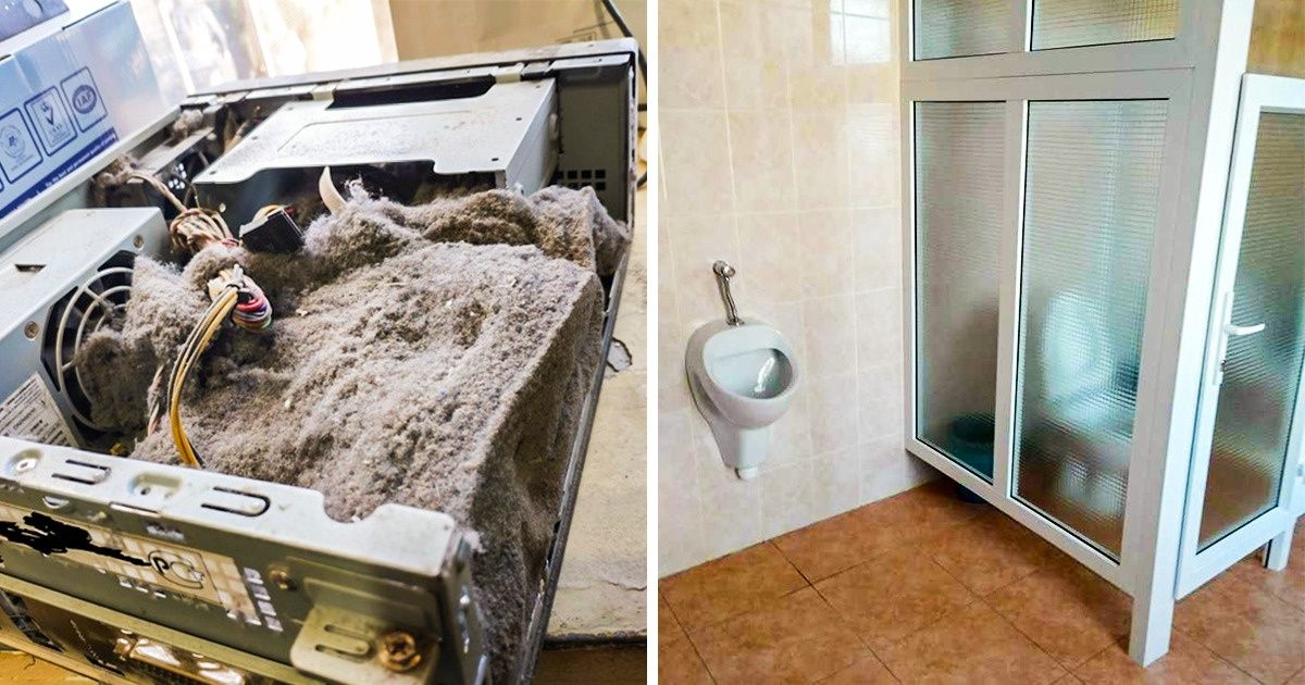 15 Pessoas que poderiam ganhar o Oscar de maior desgraça