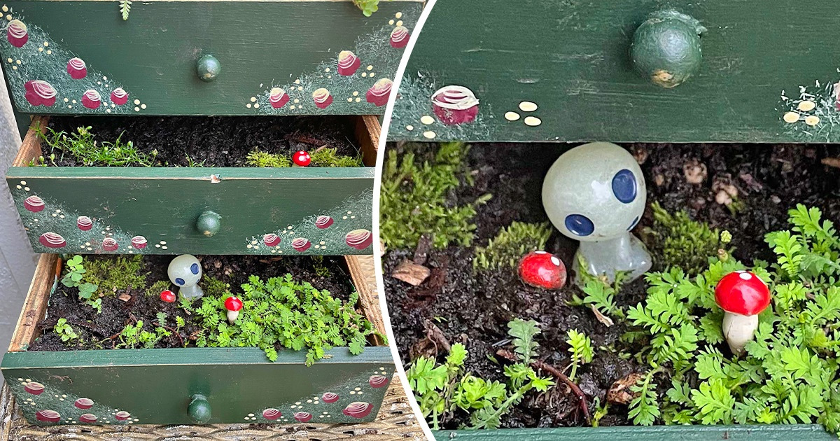 18 Fotos que mostram que qualquer espaço pequeno pode ficar mais bonito com plantas