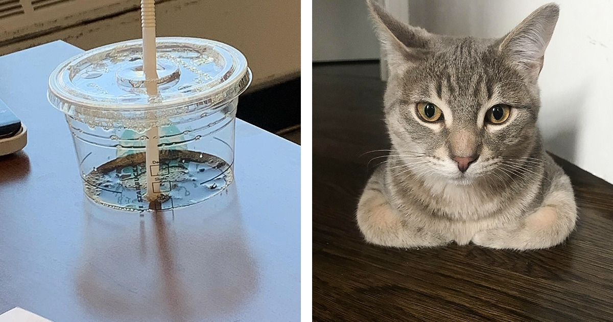 20 Registros que mais parecem ter saído de um universo paralelo