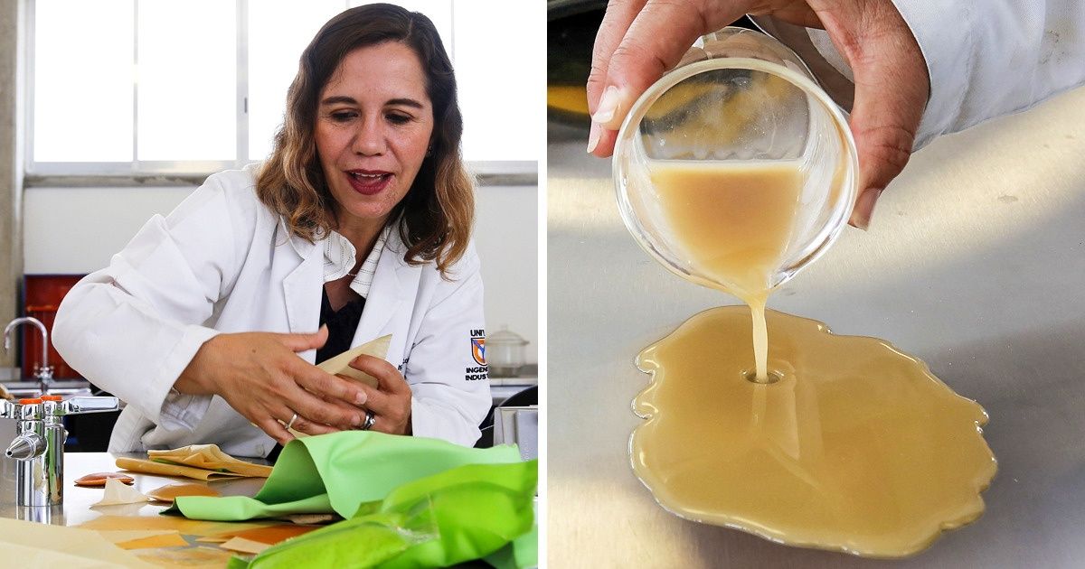 Um novo plástico criado no México a partir do cacto fornece uma solução para um dos maiores problemas de poluição do planeta