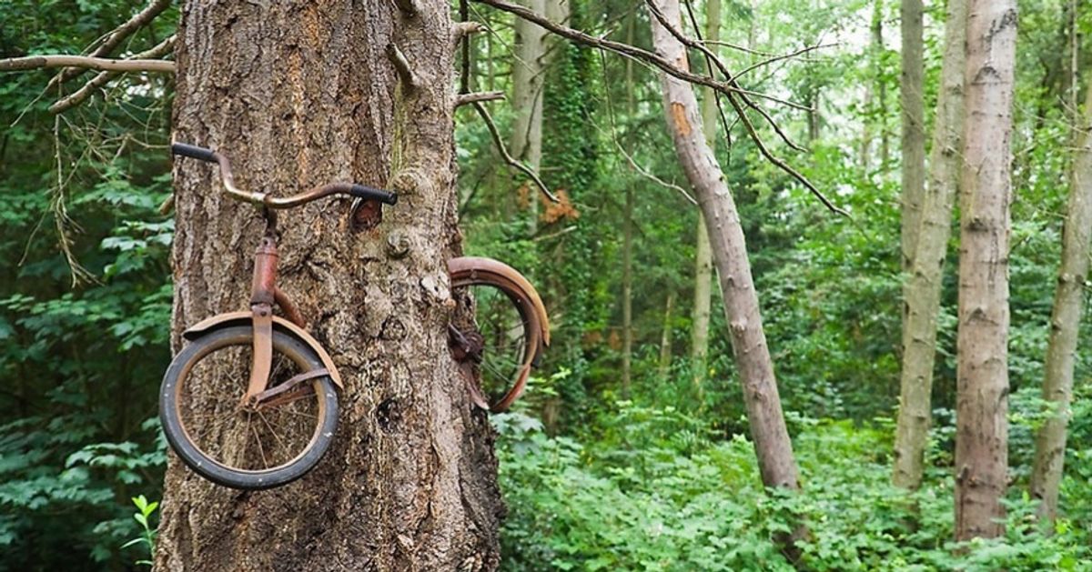 20 fotos que mostram que a natureza venceu a civilização 20 fotos que mostram que a natureza venceu a civilização
